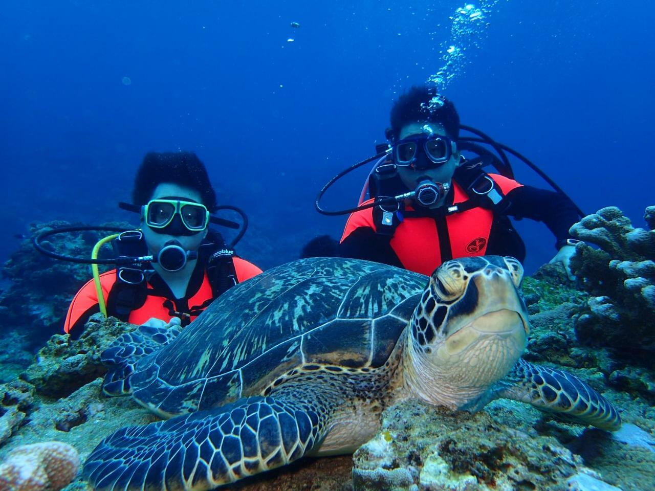 Qing Feng Diving B&B Ludao Eksteriør billede