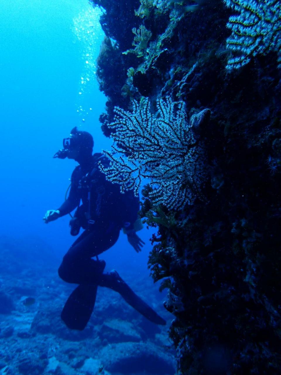 Qing Feng Diving B&B Ludao Eksteriør billede